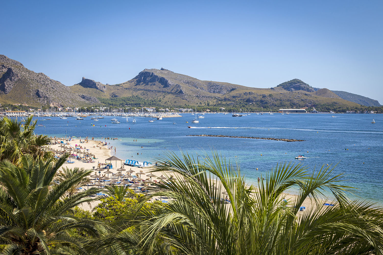 Strand Platja de Port de Pollenca in Pollença im Norden von Mallorca